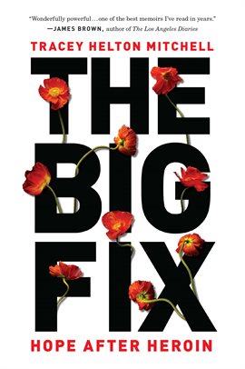 Cover image for The Big Fix