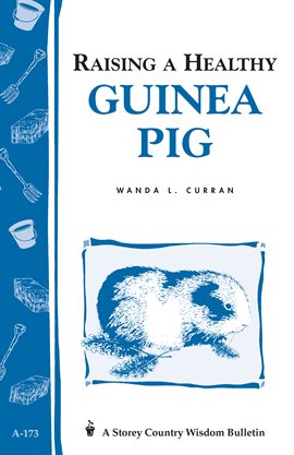 Cover image for Raising a Healthy Guinea Pig