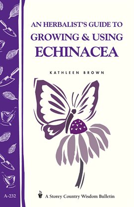Cover image for An Herbalist's Guide to Growing & Using Echinacea