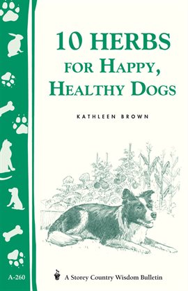 Cover image for 10 Herbs for Happy, Healthy Dogs