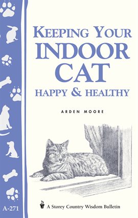 Cover image for Keeping Your Indoor Cat Happy & Healthy