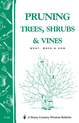 Cover image for Pruning Trees, Shrubs & Vines