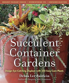 Cover image for Succulent Container Gardens