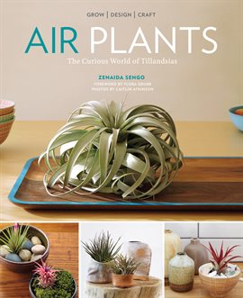 Cover image for Air Plants