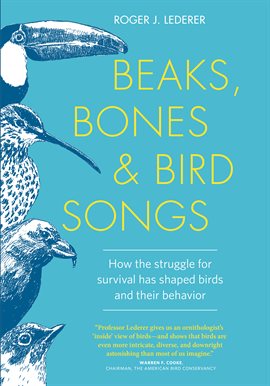 Cover image for Beaks, Bones and Bird Songs