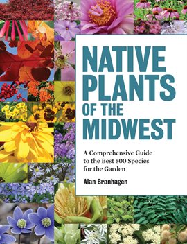 Cover image for Native Plants of the Midwest