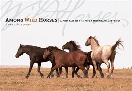 Imagen de portada para Among Wild Horses