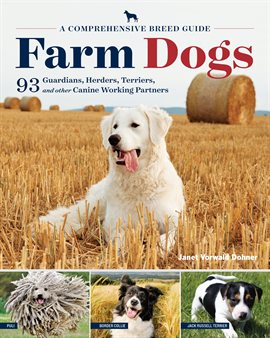 Cover image for Farm Dogs
