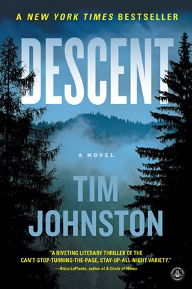 Cover image for Descent