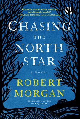 Imagen de portada para Chasing the North Star