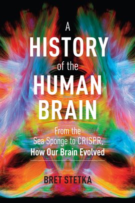 Cover image for A History of the Human Brain
