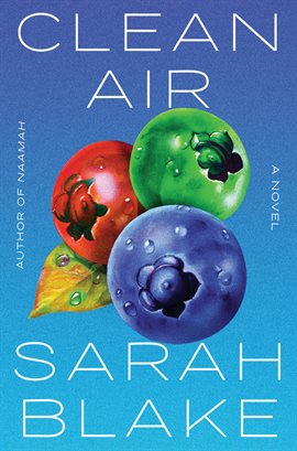 Cover image for Clean Air