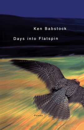Imagen de portada para Days Into Flatspin