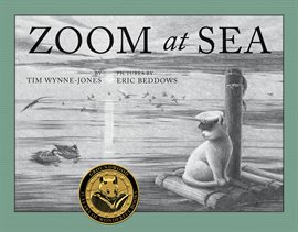 Cover image for Zoom at Sea