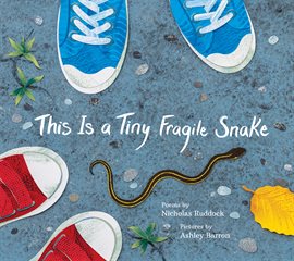 Cover image for This Is a Tiny Fragile Snake