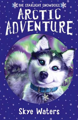 Cover image for Arctic Adventure