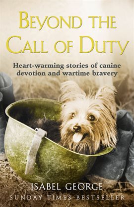 Cover image for Beyond the Call of Duty