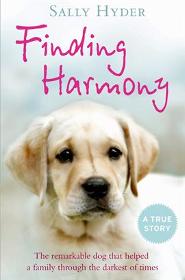 Cover image for Finding Harmony
