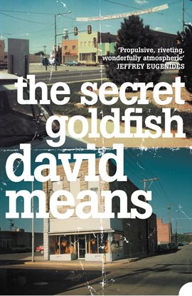 Cover image for The Secret Goldfish