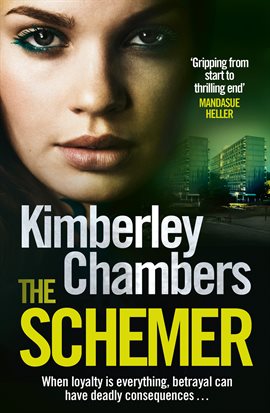 Cover image for The Schemer