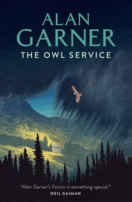 Cover image for The Owl Service