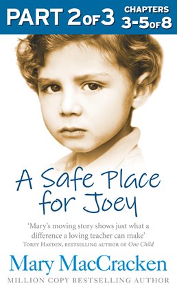 Cover image for A Safe Place for Joey: Part 2 of 3