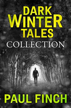 Cover image for Dark Winter Tales