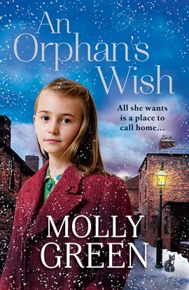 Cover image for An Orphan's Wish