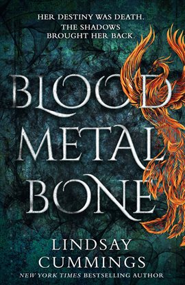 Cover image for Blood Metal Bone