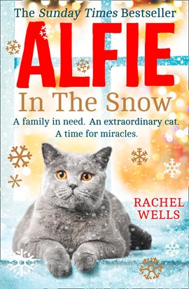 Cover image for Alfie in the Snow