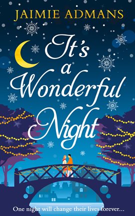 Cover image for It's a Wonderful Night