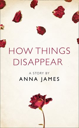 Cover image for How Things Disappear