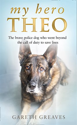 Imagen de portada para My Hero Theo