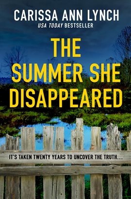 Cover image for The Summer She Disappeared
