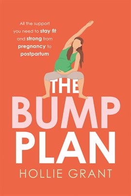 Cover image for The Bump Plan