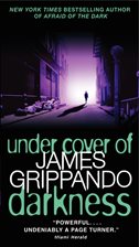 Cover image for Under Cover of Darkness