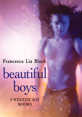 Cover image for Beautiful Boys