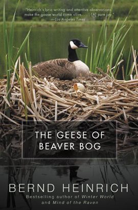 Cover image for The Geese of Beaver Bog