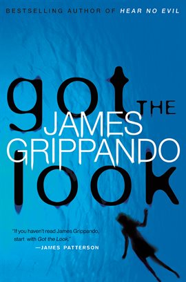 Cover image for Got the Look