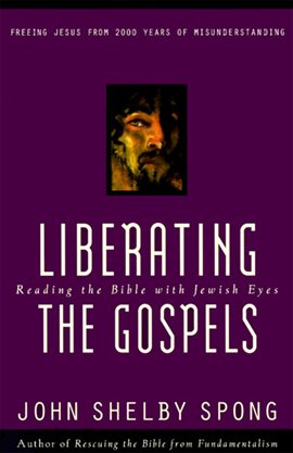 Cover image for Liberating the Gospels