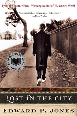 Cover image for Lost in the City