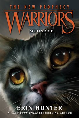 Cover image for Moonrise