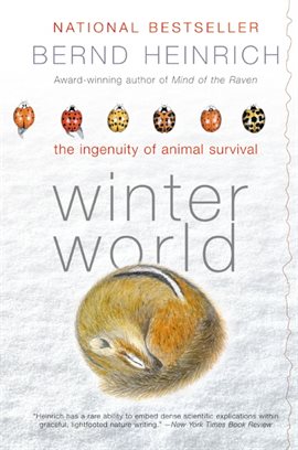 Cover image for Winter World