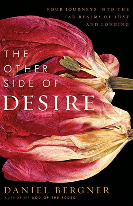 Cover image for The Other Side of Desire