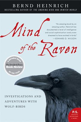 Cover image for Mind of the Raven