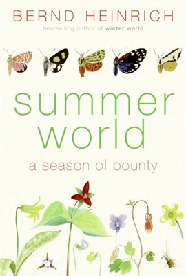 Cover image for Summer World