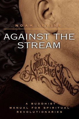 Cover image for Against the Stream