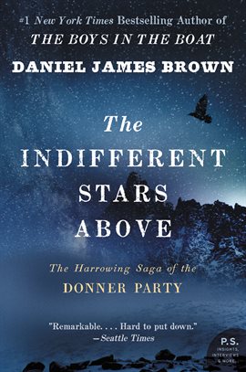 Cover image for The Indifferent Stars Above