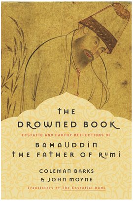 Cover image for The Drowned Book