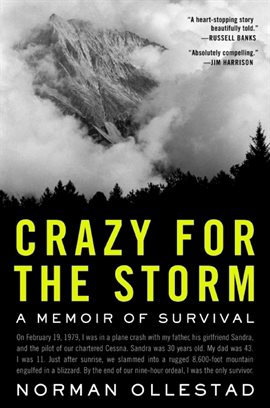 Cover image for Crazy for the Storm